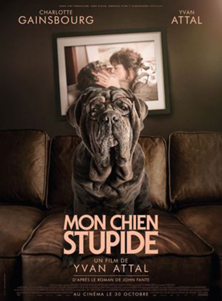 Remy Chevrin - Mon Chien Stupide